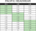 Pacific Flex Fit Grey/Navy