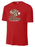 Dragons Dri-Fit Tee