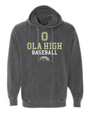 OH Adult Comfort Colors Hoodie- Pepper