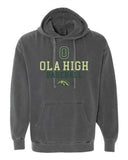 OH Adult Comfort Colors Hoodie- Pepper