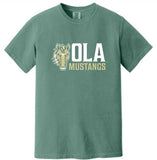 OMS Adult Comfort Colors - Light Green