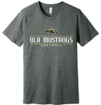 OHSB Y&A Bella+Canvas Tee- Deep Heather Grey