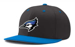 Pennant Snapback Game Hat- Required